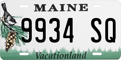 ME license plate 9934SQ