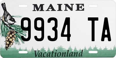 ME license plate 9934TA