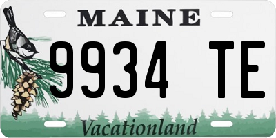 ME license plate 9934TE