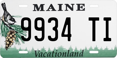 ME license plate 9934TI