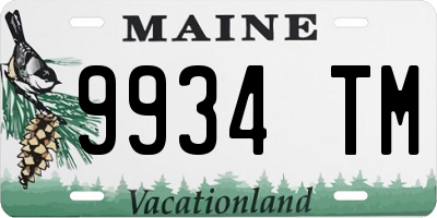 ME license plate 9934TM