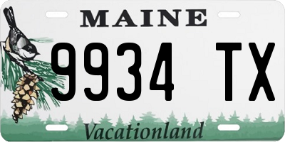 ME license plate 9934TX