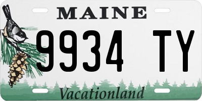 ME license plate 9934TY