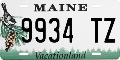 ME license plate 9934TZ