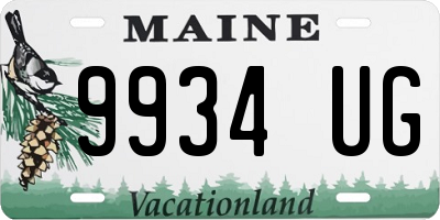 ME license plate 9934UG