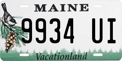 ME license plate 9934UI