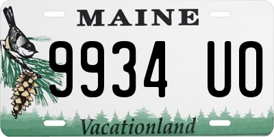 ME license plate 9934UO