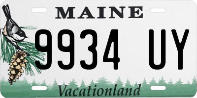 ME license plate 9934UY