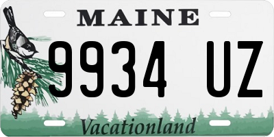 ME license plate 9934UZ