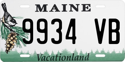 ME license plate 9934VB
