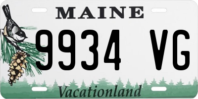 ME license plate 9934VG