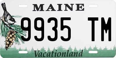 ME license plate 9935TM
