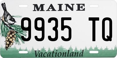 ME license plate 9935TQ