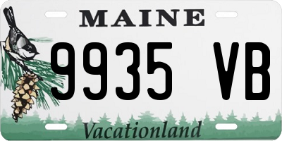 ME license plate 9935VB