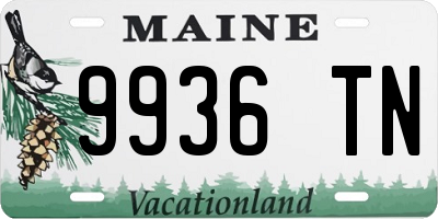 ME license plate 9936TN