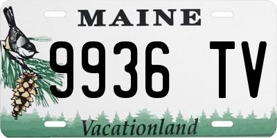 ME license plate 9936TV