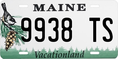 ME license plate 9938TS