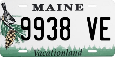 ME license plate 9938VE