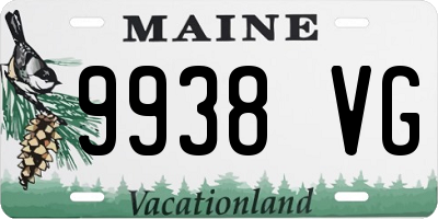 ME license plate 9938VG