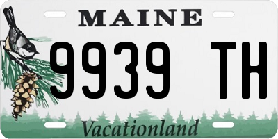 ME license plate 9939TH