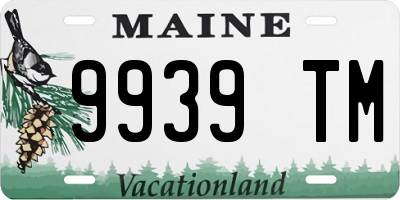 ME license plate 9939TM