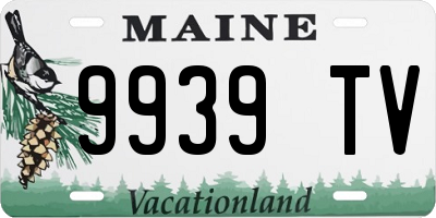 ME license plate 9939TV