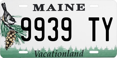 ME license plate 9939TY