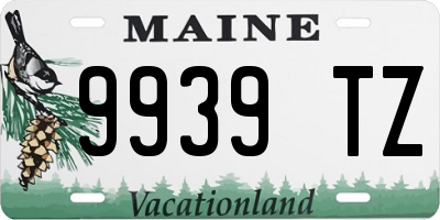 ME license plate 9939TZ