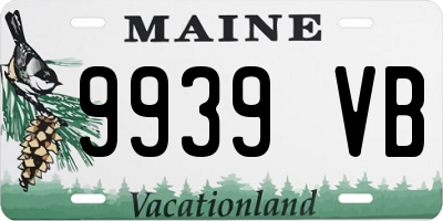 ME license plate 9939VB