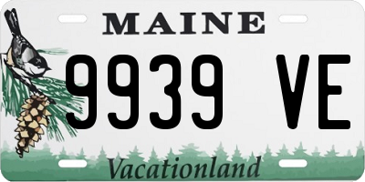 ME license plate 9939VE