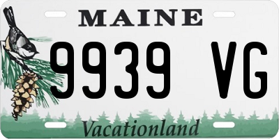 ME license plate 9939VG
