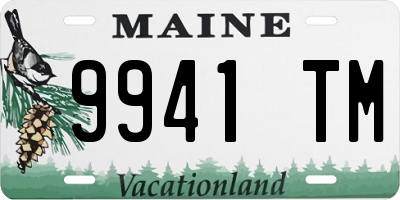 ME license plate 9941TM