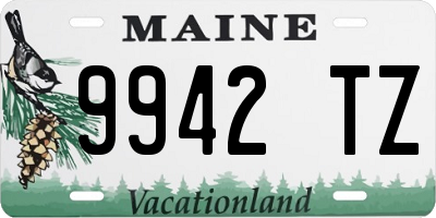 ME license plate 9942TZ