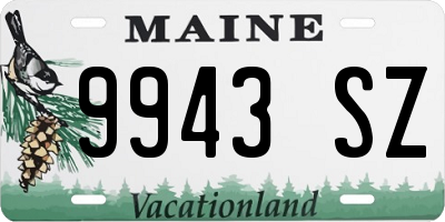ME license plate 9943SZ