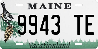 ME license plate 9943TE