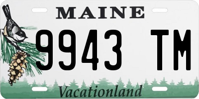 ME license plate 9943TM