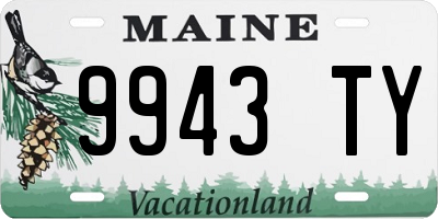 ME license plate 9943TY