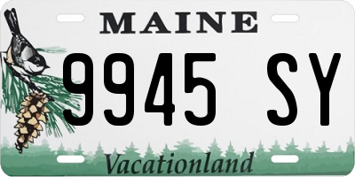 ME license plate 9945SY