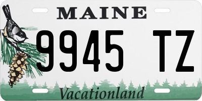ME license plate 9945TZ