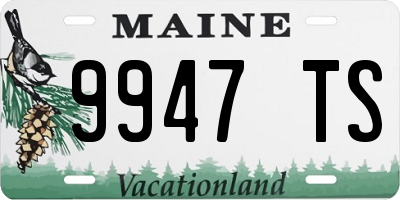 ME license plate 9947TS