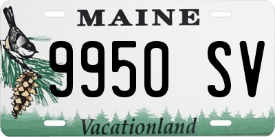 ME license plate 9950SV