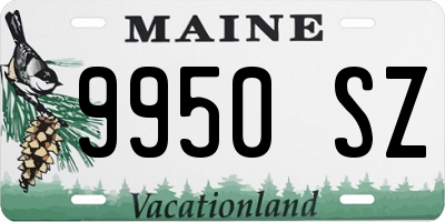 ME license plate 9950SZ