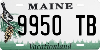ME license plate 9950TB