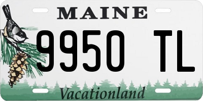ME license plate 9950TL