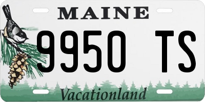 ME license plate 9950TS