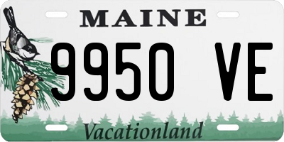 ME license plate 9950VE