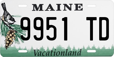 ME license plate 9951TD