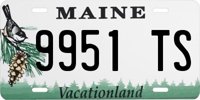 ME license plate 9951TS