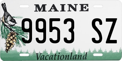 ME license plate 9953SZ