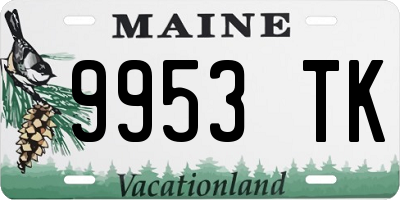 ME license plate 9953TK